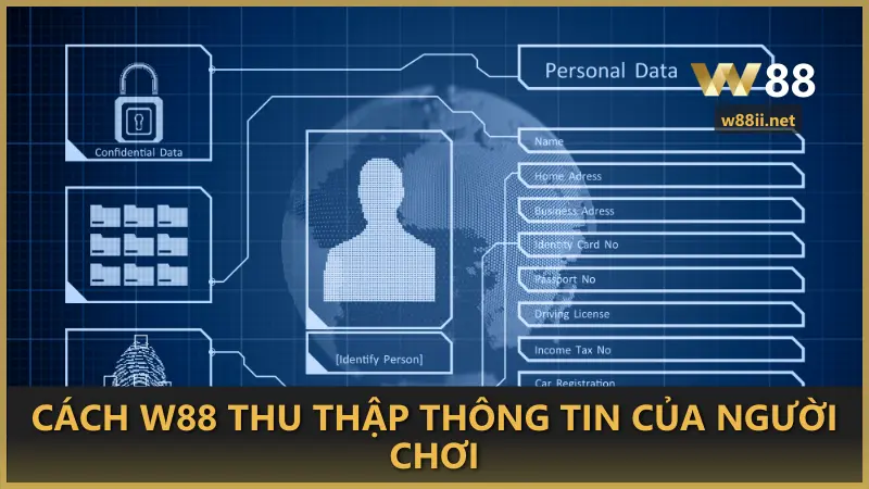 Cách W88 thu thập thông tin của người chơi