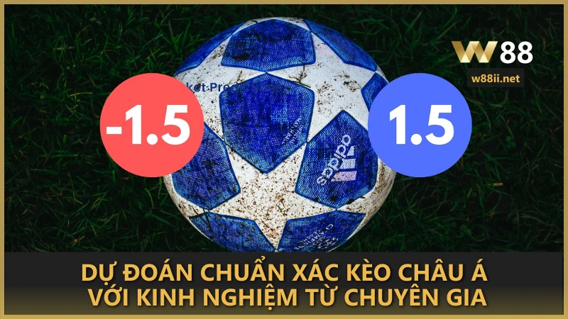 Dự đoán chuẩn xác kèo Châu Á với kinh nghiệm từ chuyên gia