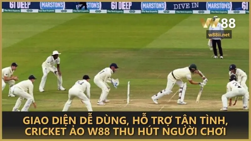 Giao diện dễ dùng, hỗ trợ tận tình, cricket ảo W88 thu hút người chơi