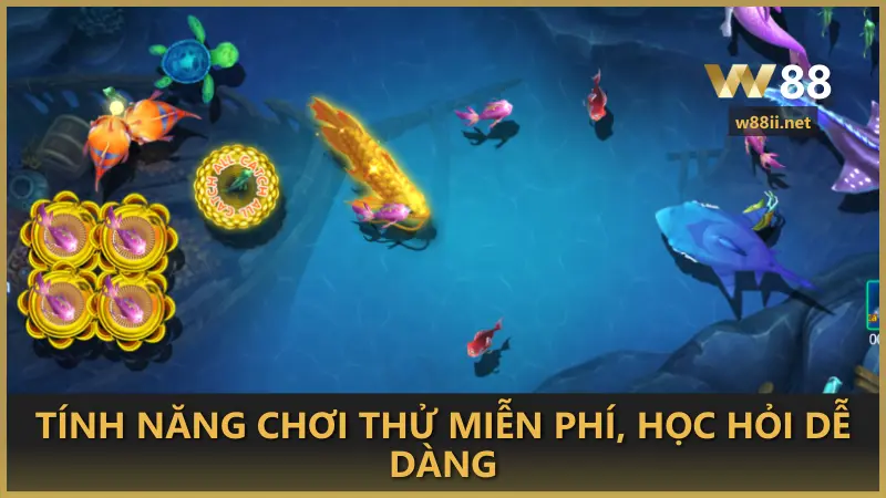 Tính năng chơi thử miễn phí, học hỏi dễ dàng